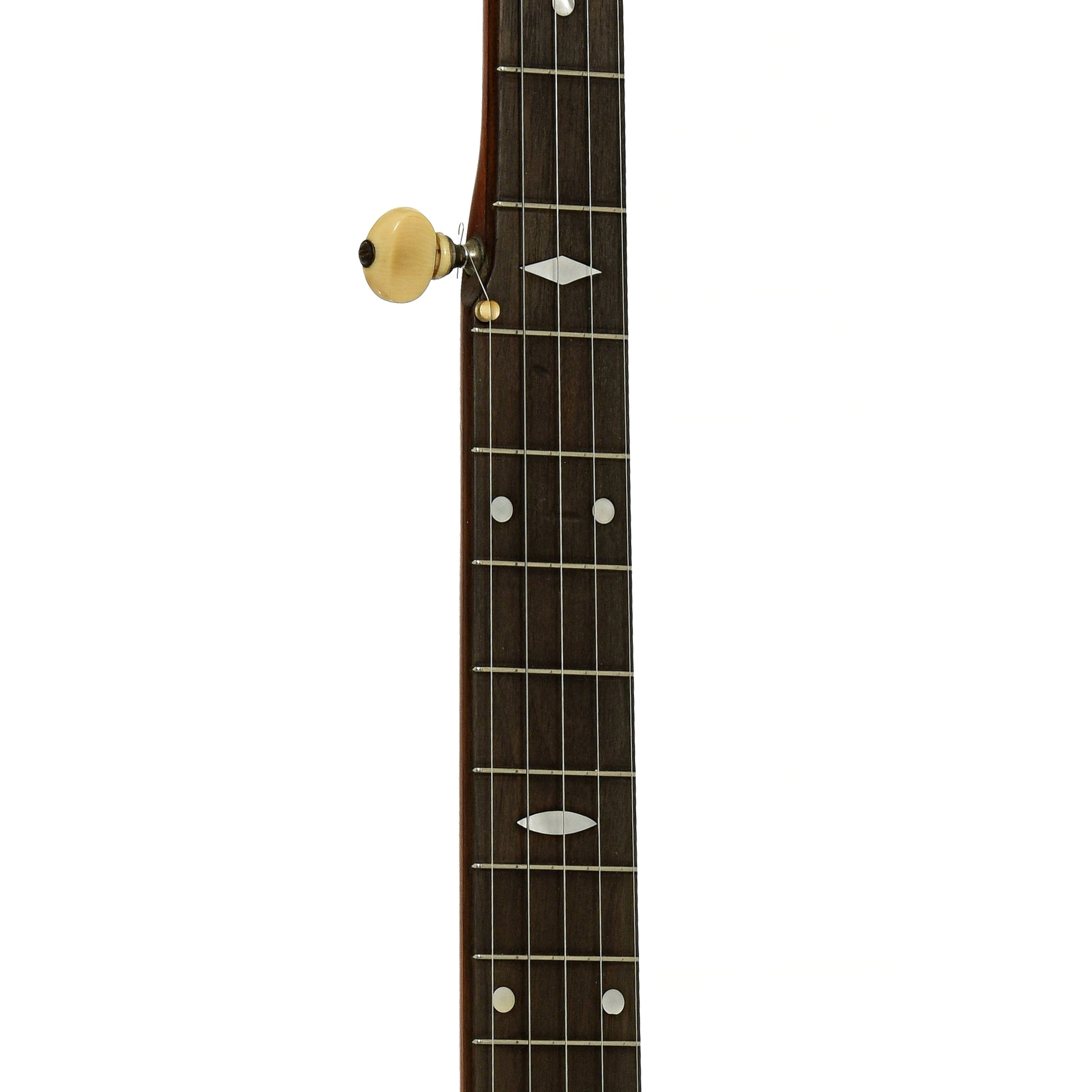 Fretboard of Vega Senator 5-String Banjo