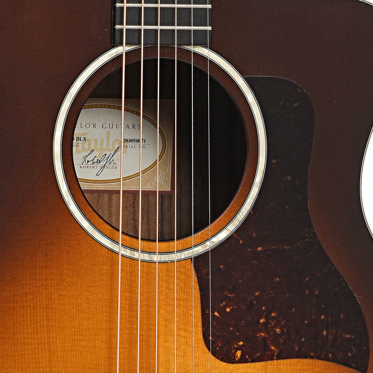 Sound hole of Taylor 214ce-SB DLX Acoustic-Electric Guitar (2020)