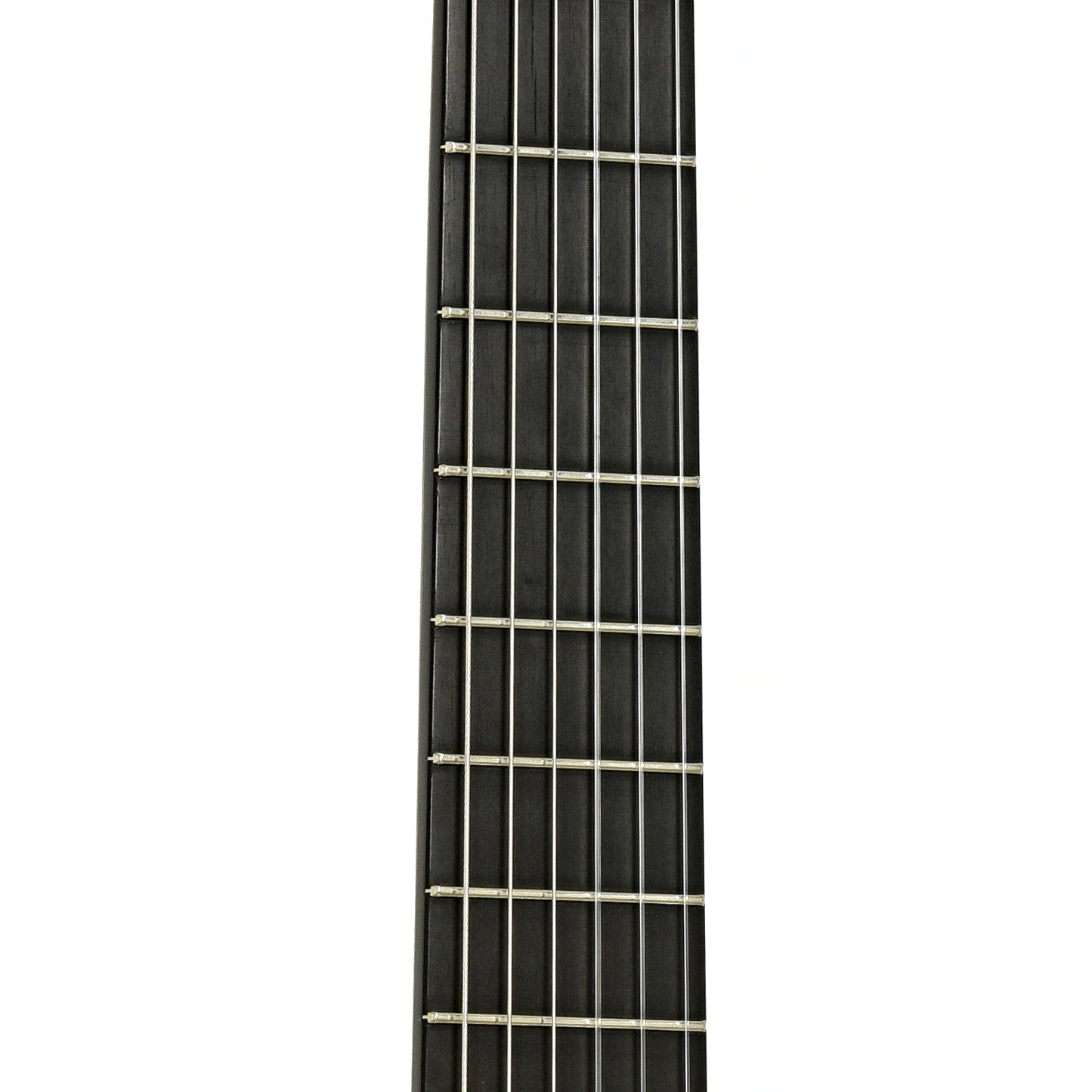 Fretboard of LoPrinzi International Concert Classical Guitar