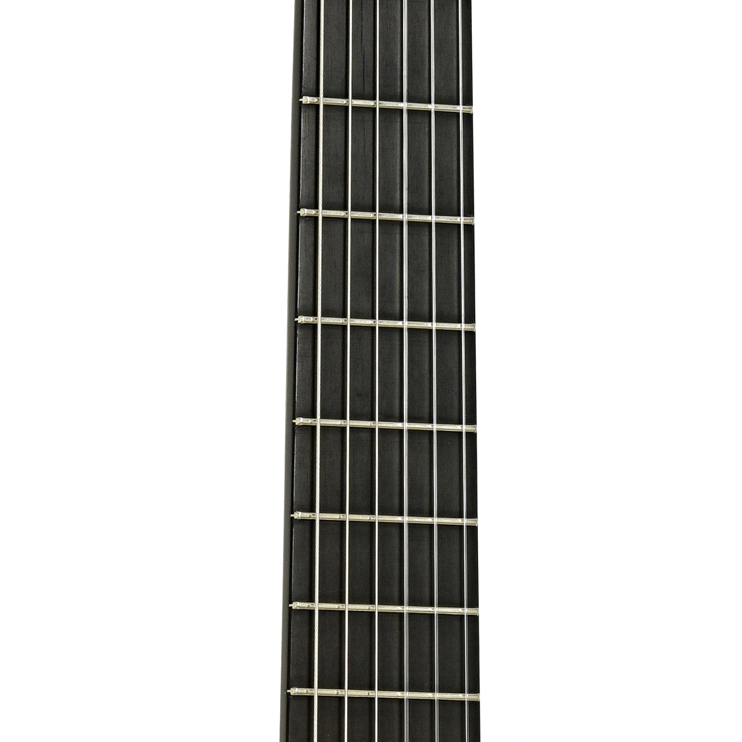 Fretboard of LoPrinzi International Concert Classical Guitar