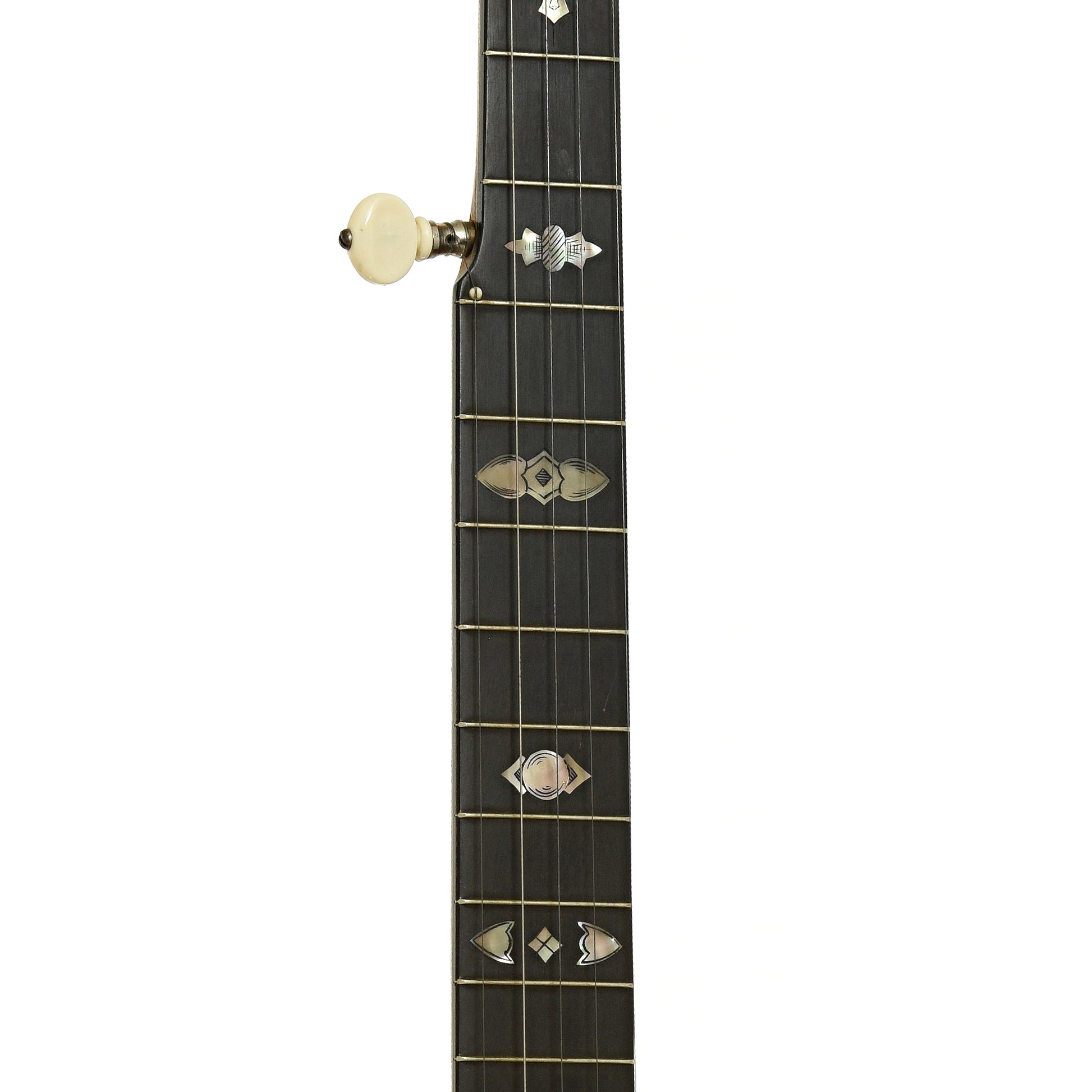 Fretboard of Washburn Model 1025 Openback Banjo 