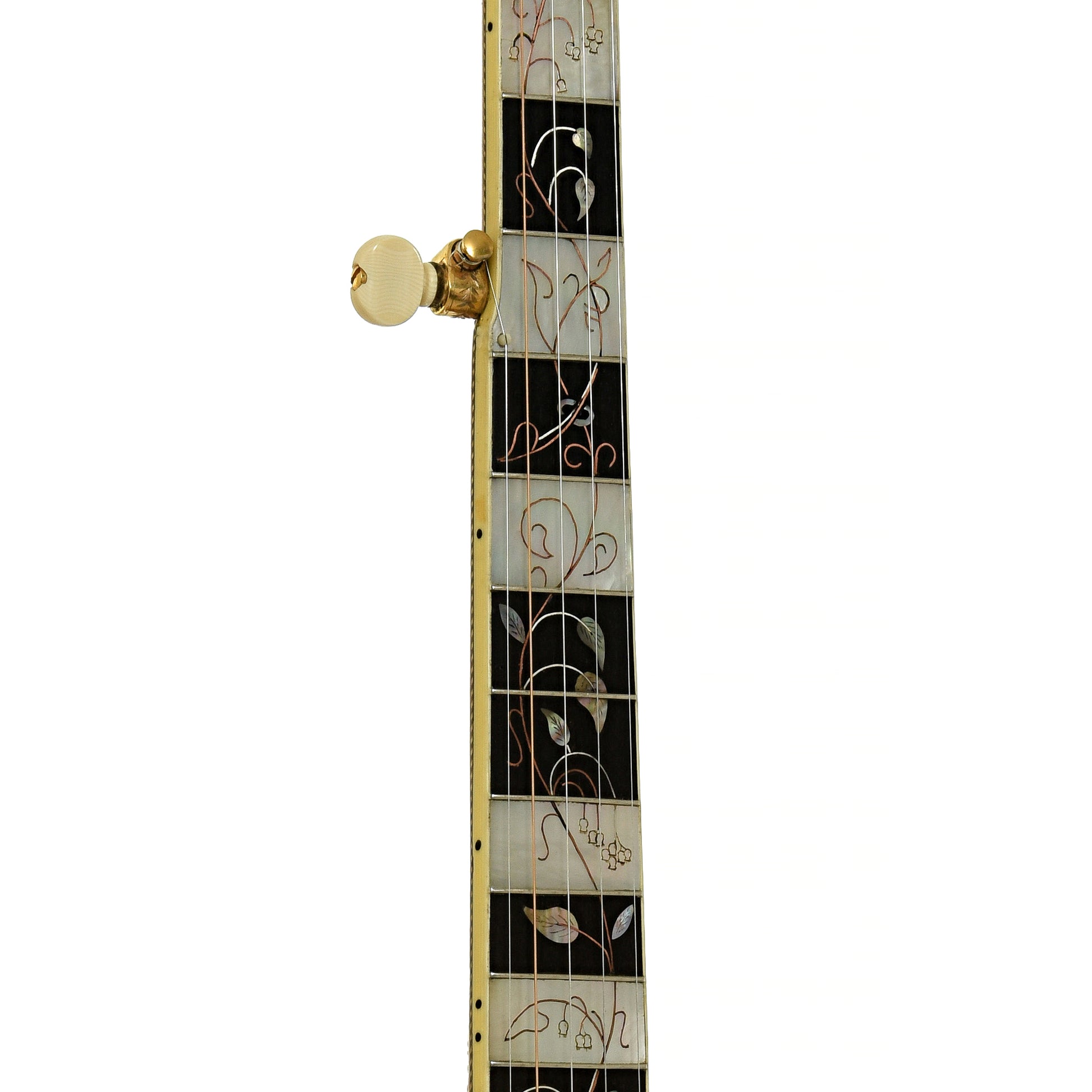 Fretboard of R.O. Buckmaster Deluxe Open Back Banjo