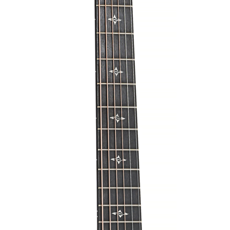 Fretboard of Taylor 417e Acoustic