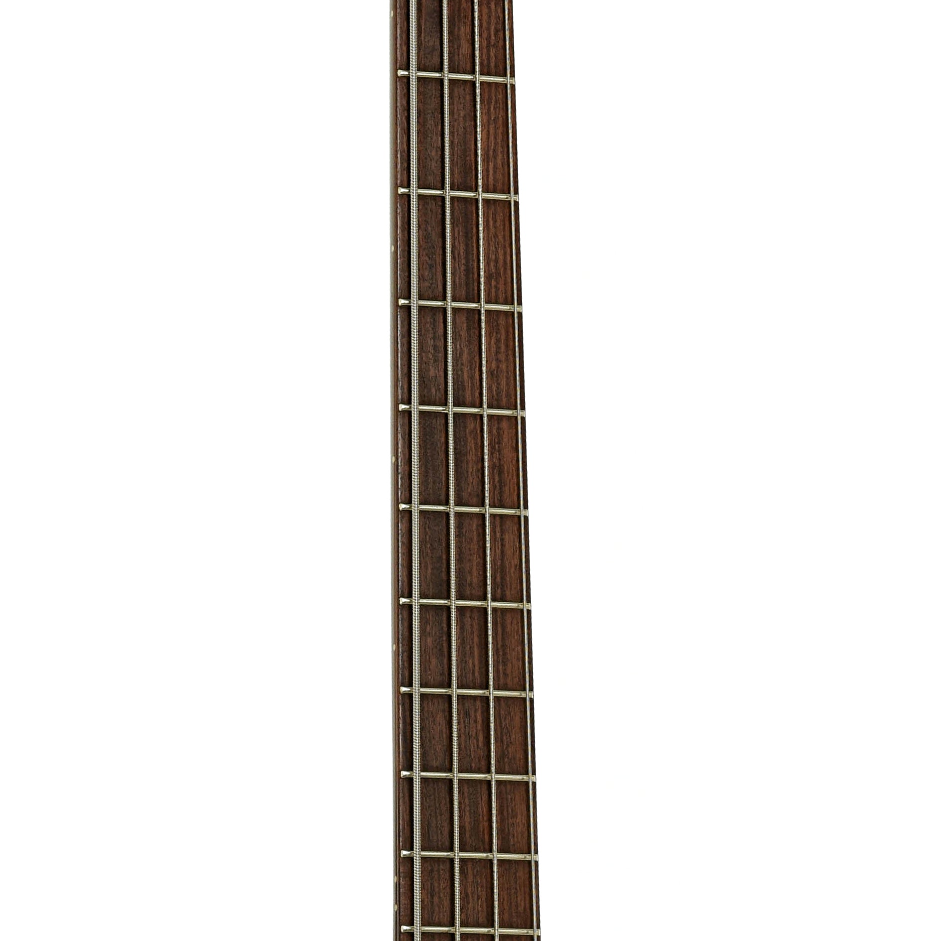 Fretboard of Spector U.S.A. Forte 4X Electric Bass