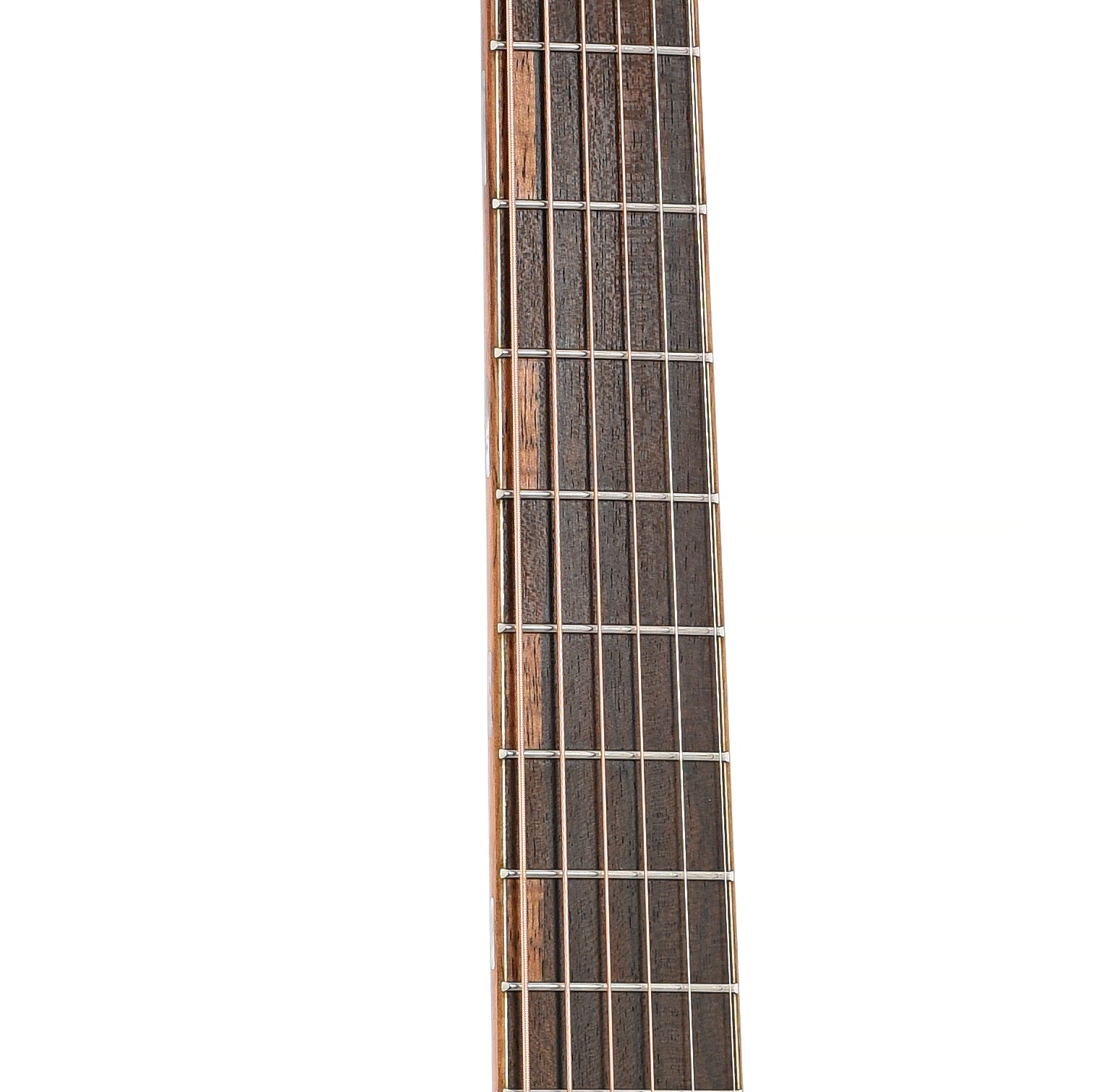 Fretboard of Furch Red Pure D-SR Acoustic Guitar