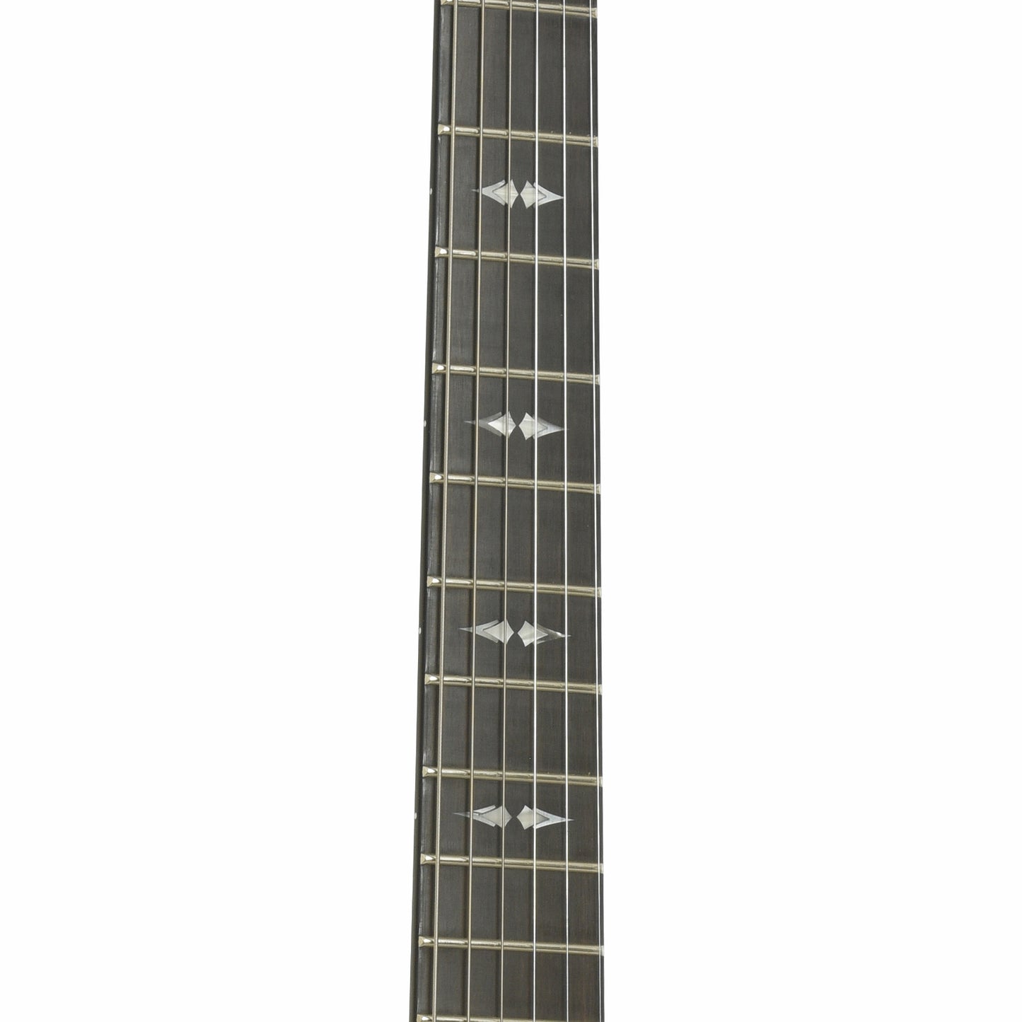 Taylor T5Z Pro Hollowbody Acoustic-Electric Guitar (2024)