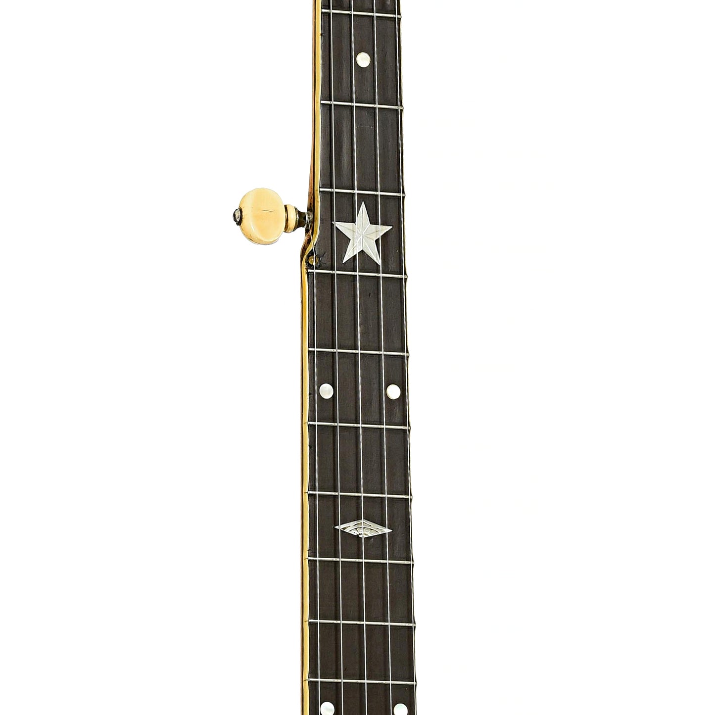 Fretboard of Bacon Professional FF Open Back Banjo