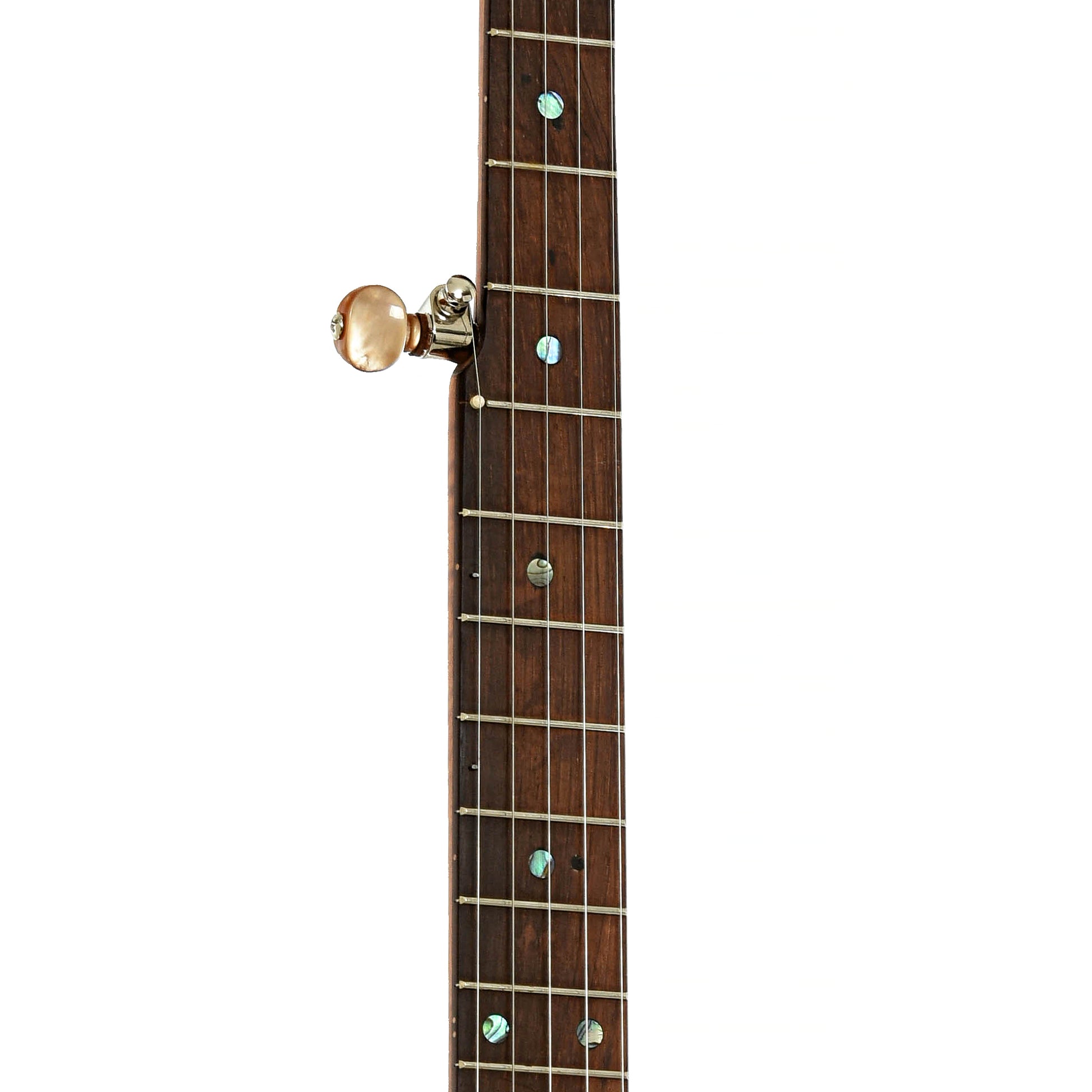 Fretboard of Starr Limited Edition Banjos 12" Curly Maple Open-back Banjo