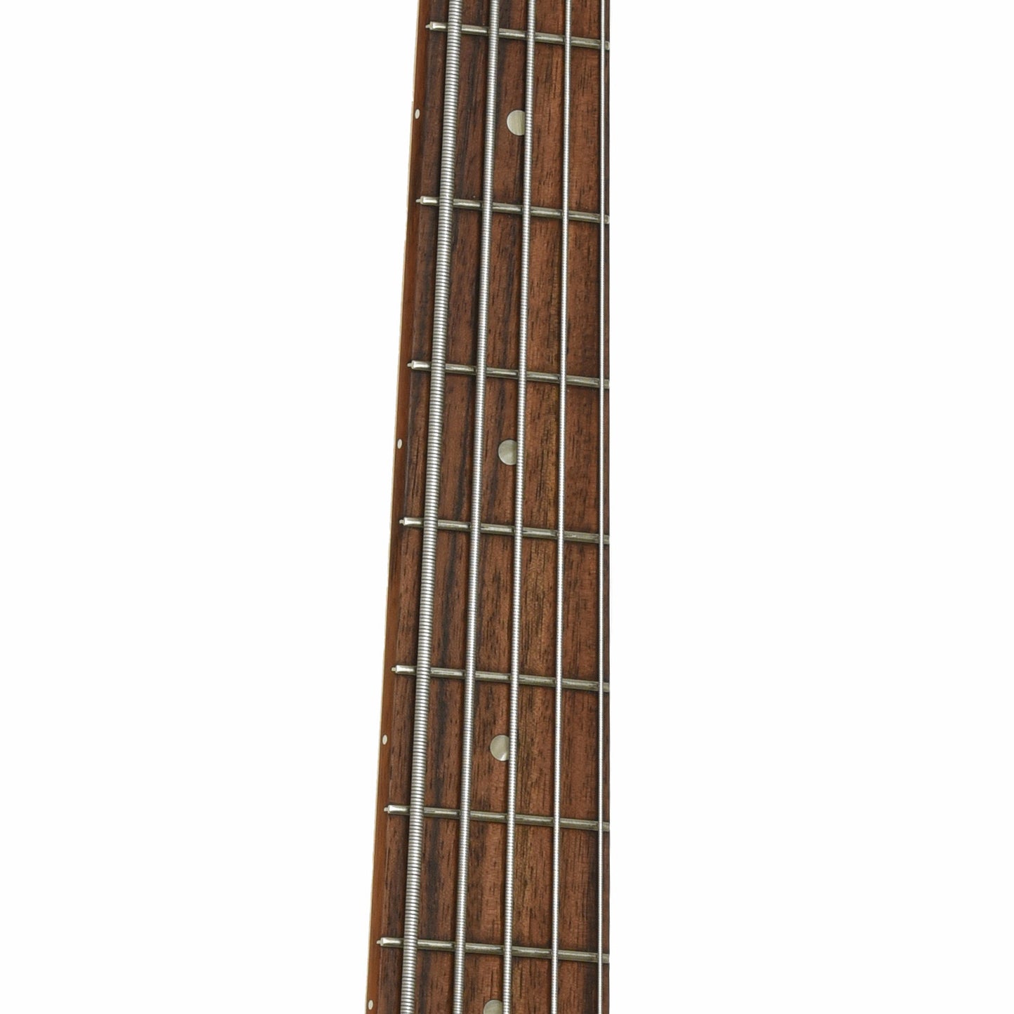 Fretboard of Gibson EB-5 Electric Bass 