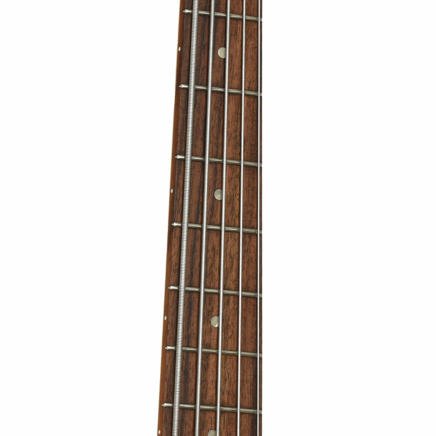 Fretboard of Gibson EB-5 Electric Bass 