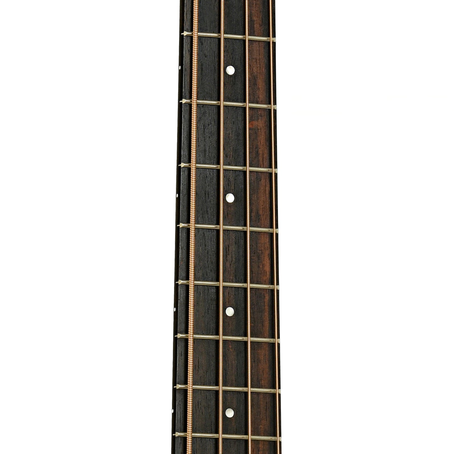 Fretboard of Taylor GS Mini Acoustic-Electric Bass