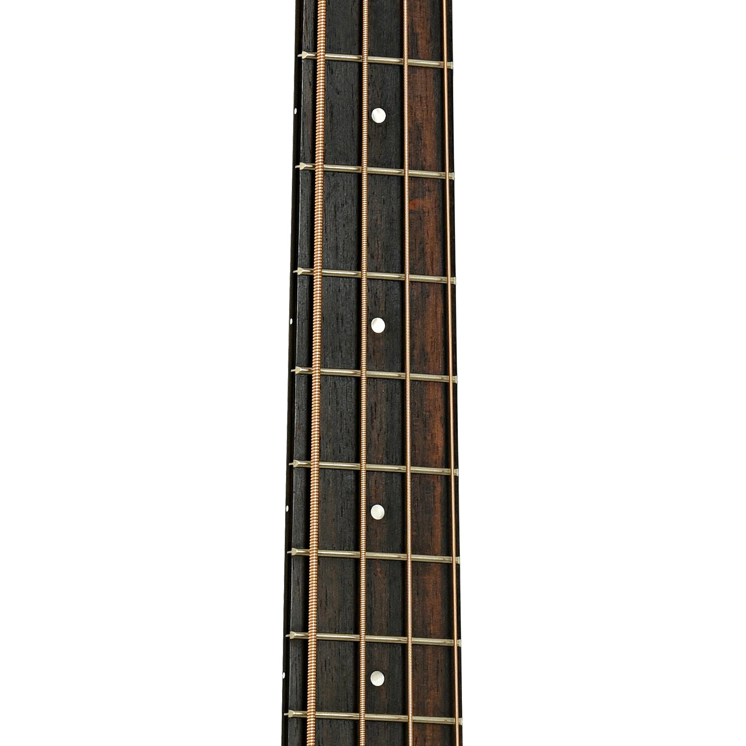 Fretboard of Taylor GS Mini Acoustic-Electric Bass