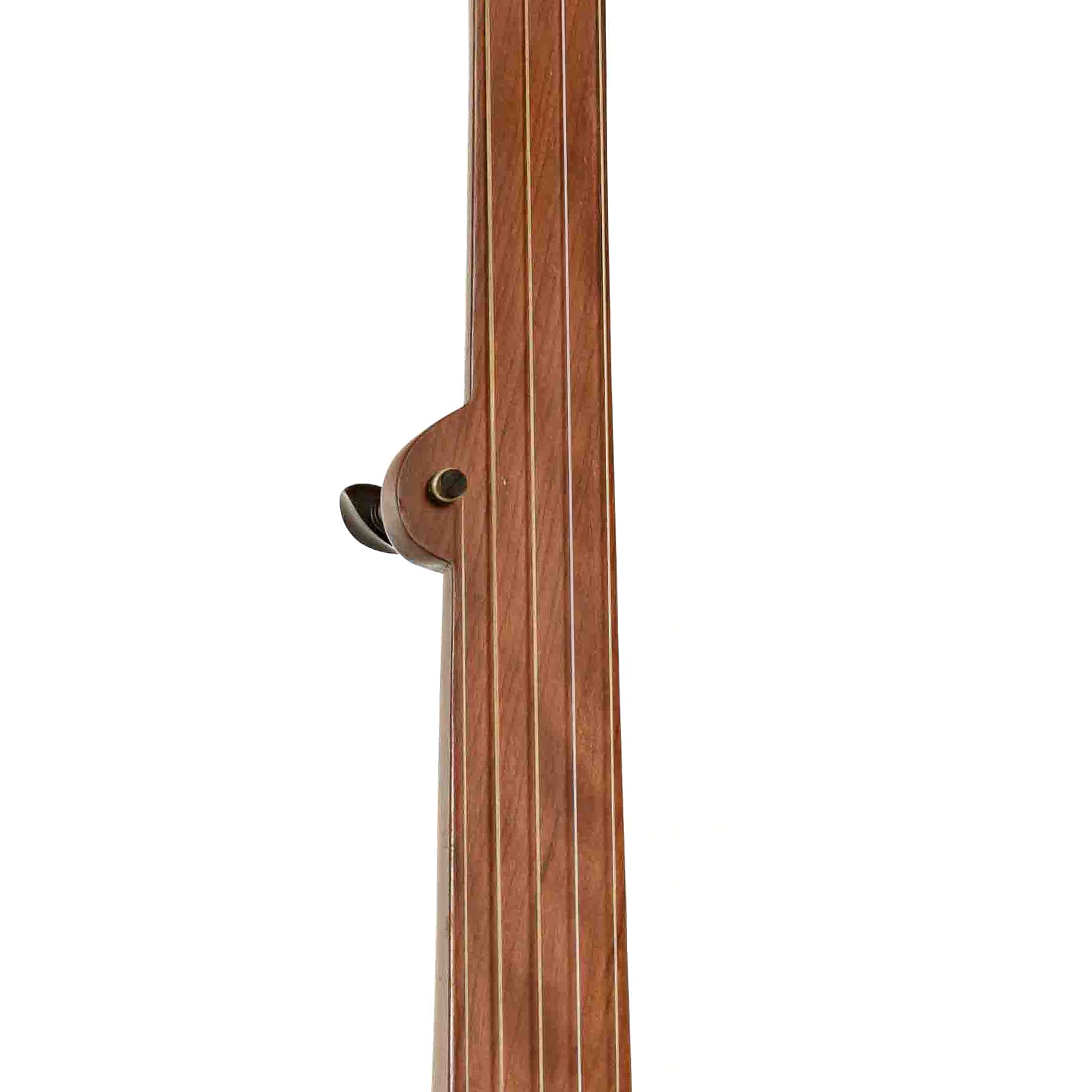 Fingerboard of Menzies Mike Seeger Grain Measure Tack Head Banjo 