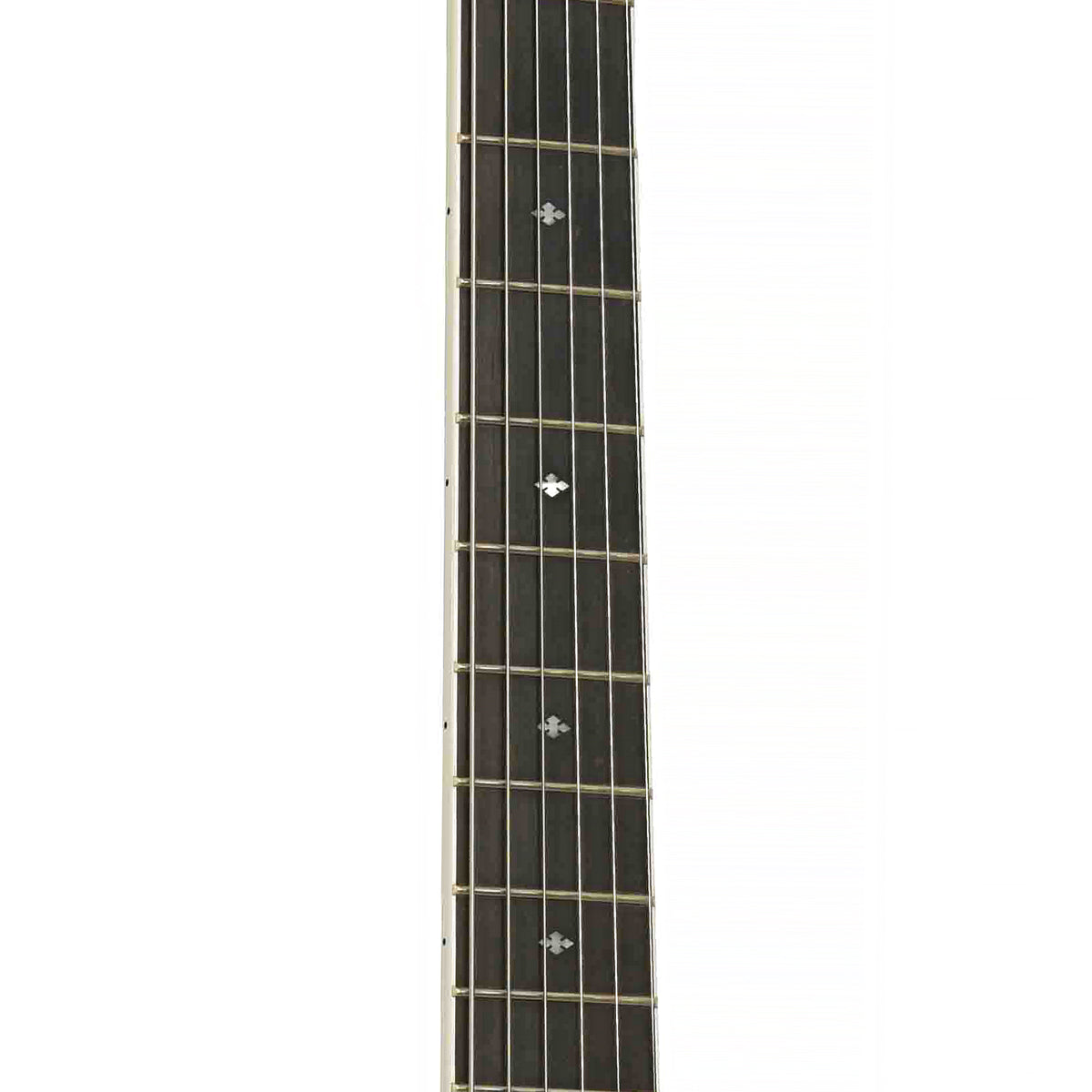 Fretboard of Taylor T-5 Standard