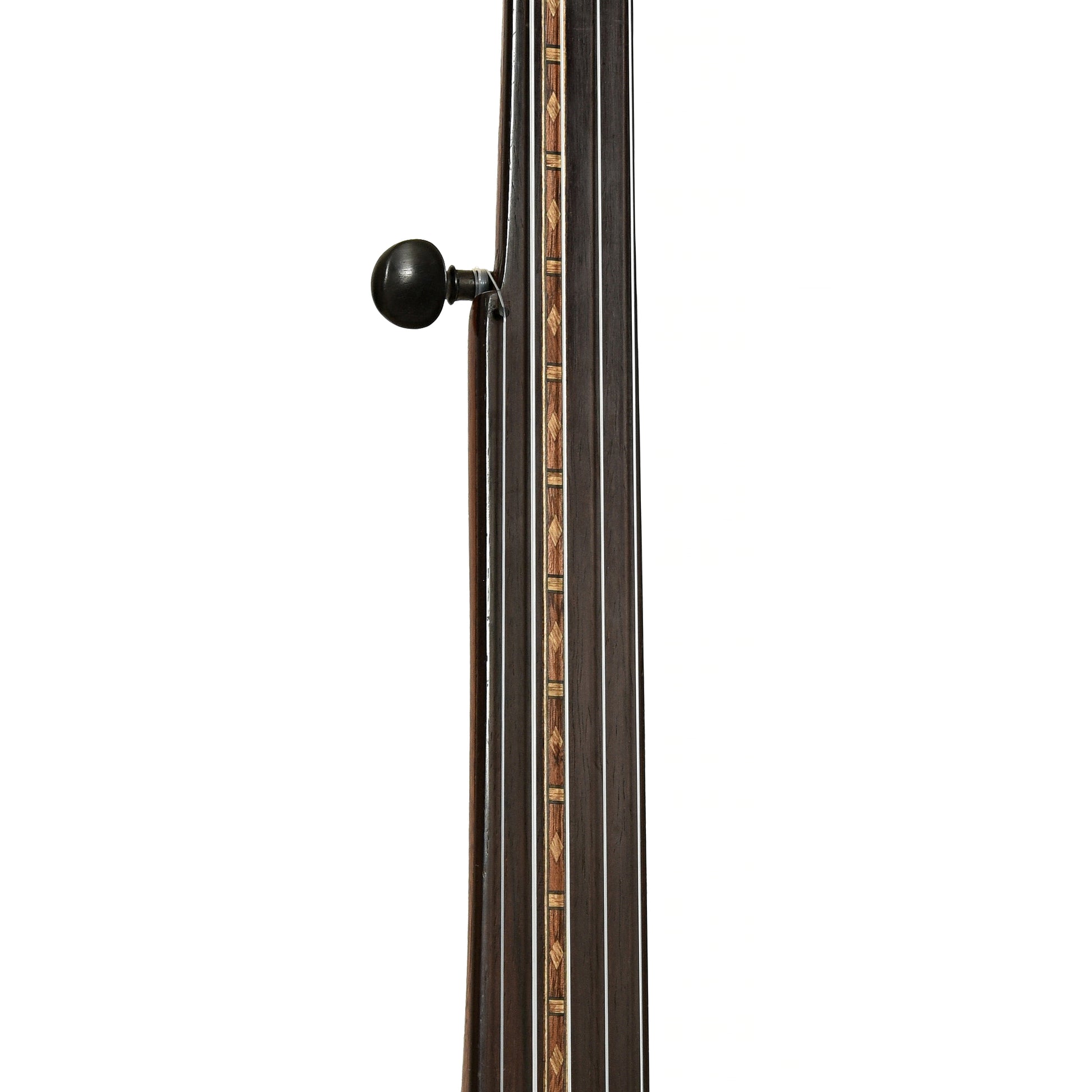 Fretboard of Celebrated Benary Open Back Banjo 