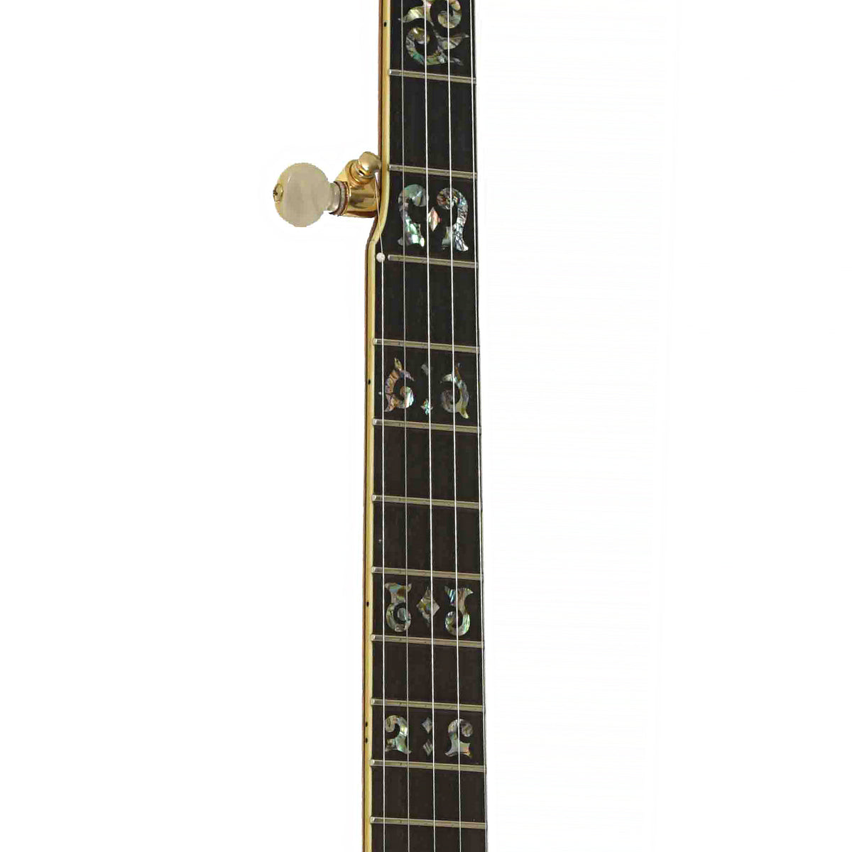 Fretboard of Ome Juggernaut Custom Openback Banjo