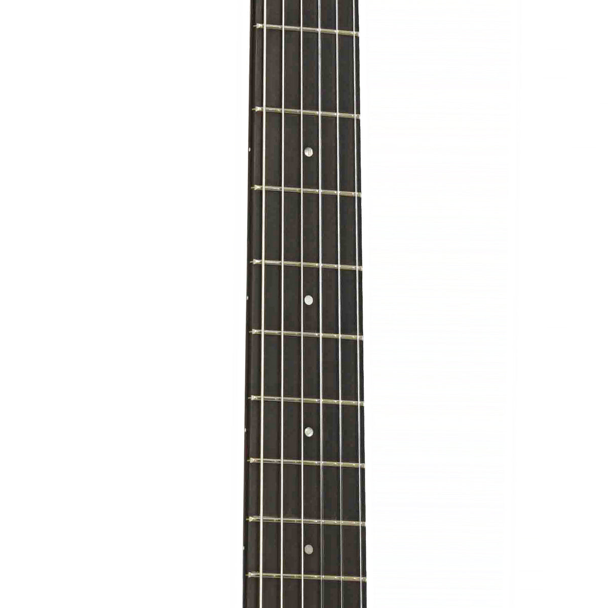 Fretboard of Taylor 214ce-N Plus