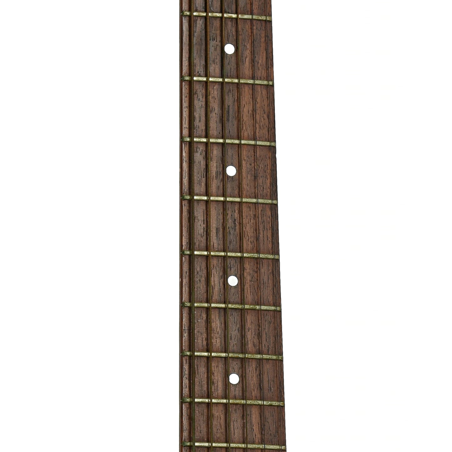 Fretboard of Seagull Coastline Parlor Grand