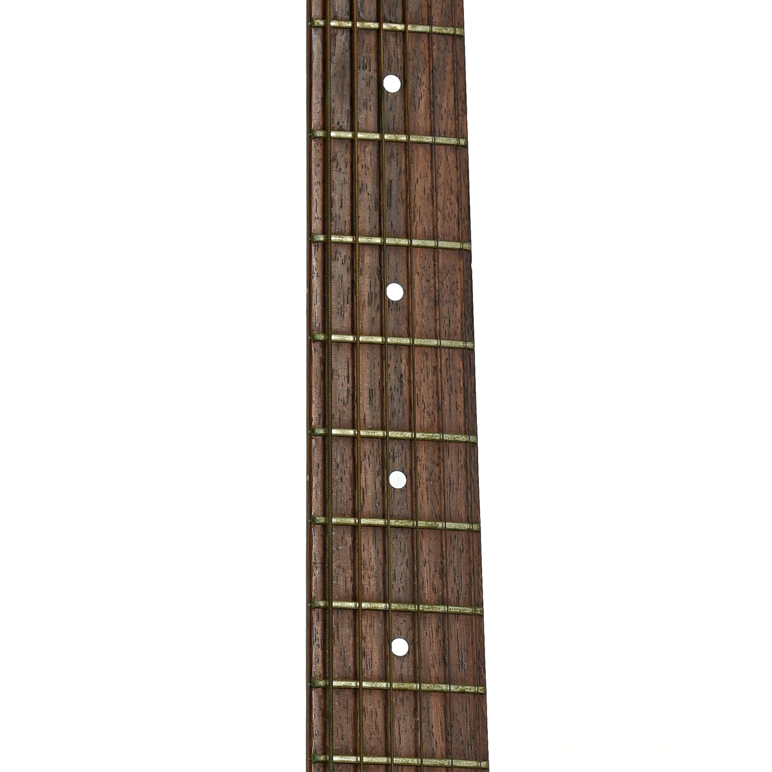 Fretboard of Seagull Coastline Parlor Grand