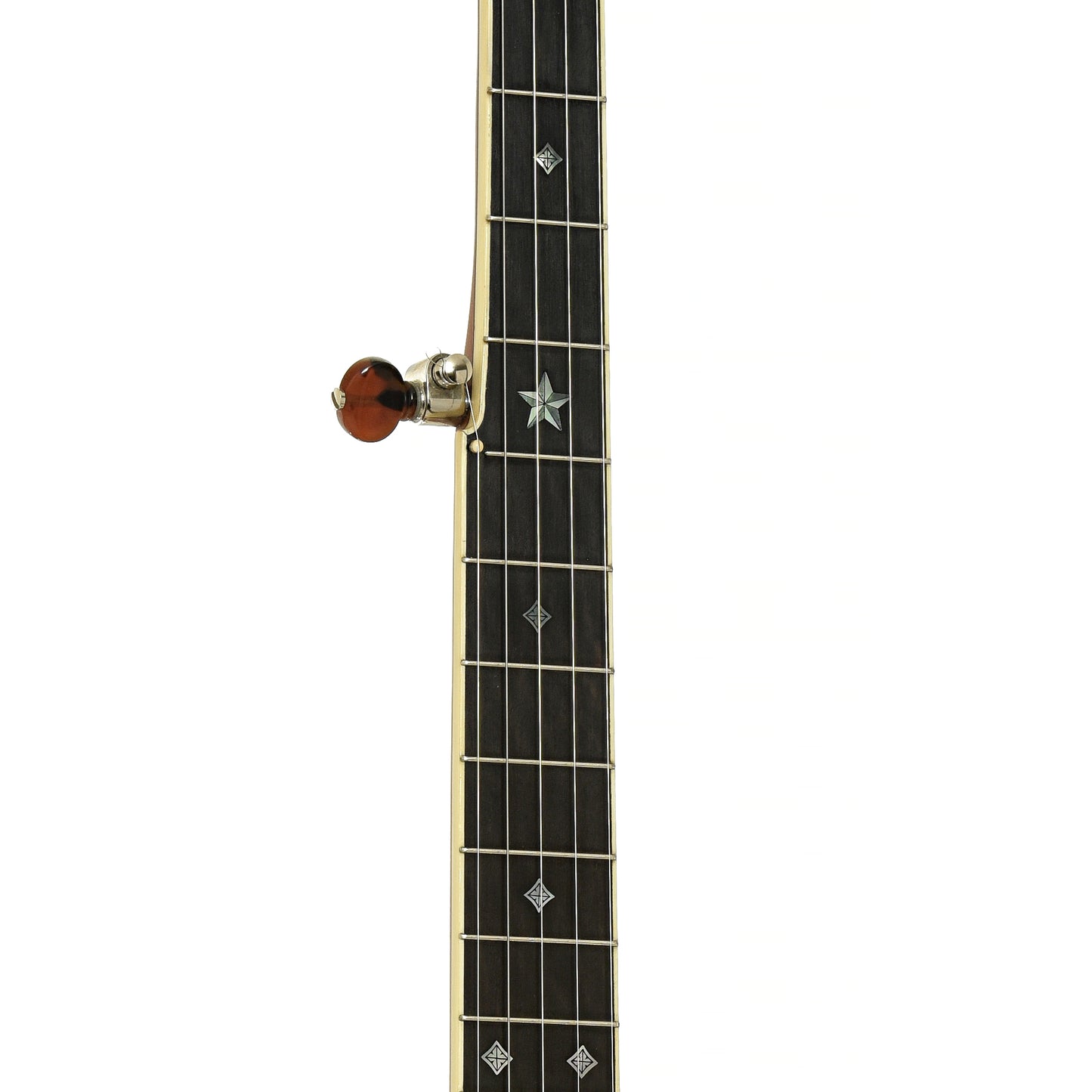 Fretboard of R.M. Anderson Vega Tubaphone Conversion Banjo