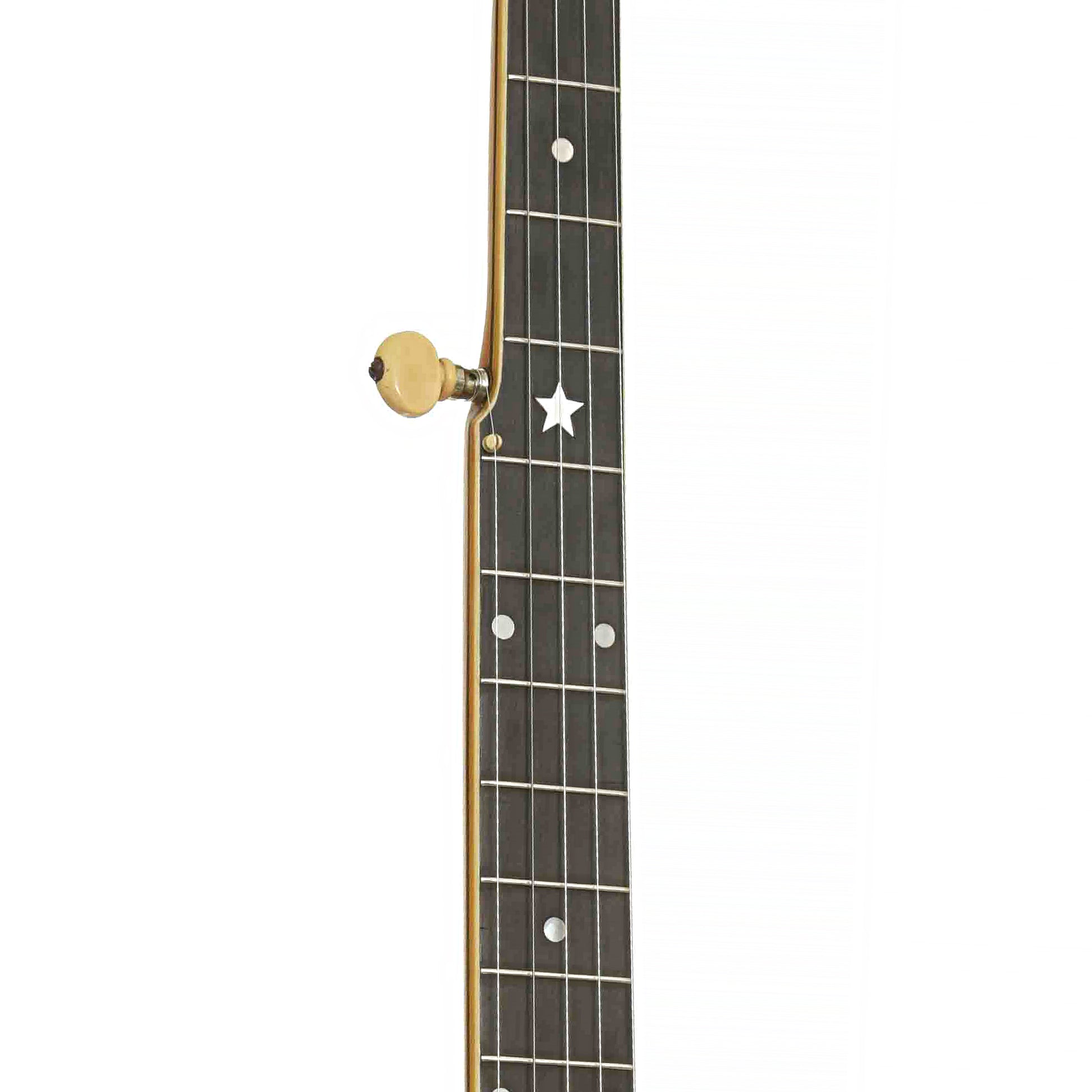 Fretboard of Vega Whyte Laydie No.2 Banjo