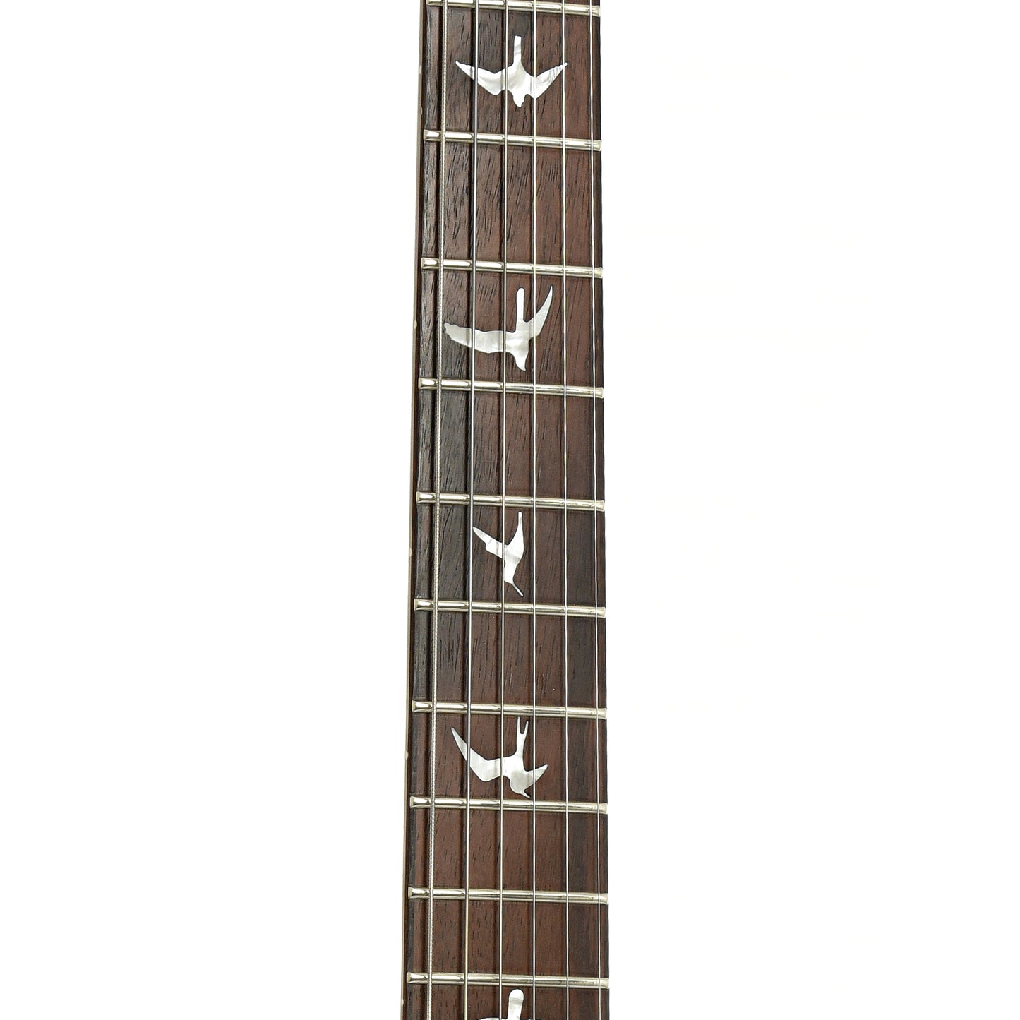 Fret board of PRS SE CE Custom 24 Electric Guitar