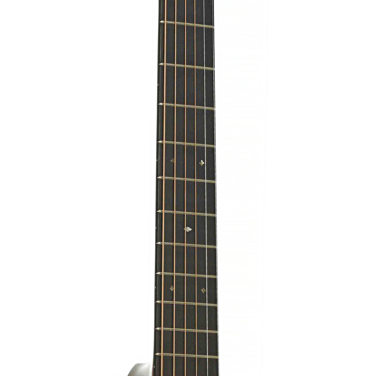 Fretboard of Martin D-28 Authentic 1931 Acoustic Guitar
