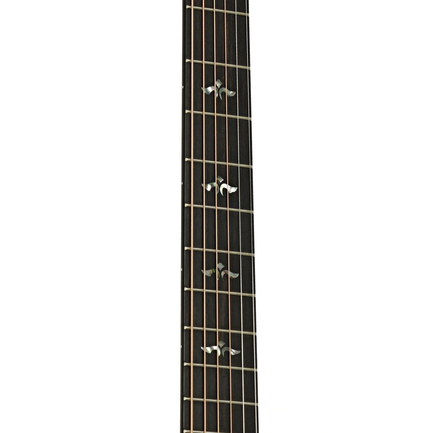 Fretboard of Taylor Next Generation 614ce Acoustic-Electric Guitar
