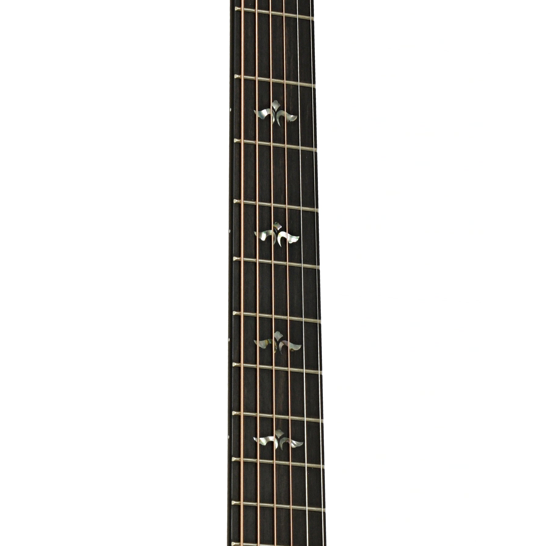 Fretboard of Taylor Next Generation 614ce Acoustic-Electric Guitar
