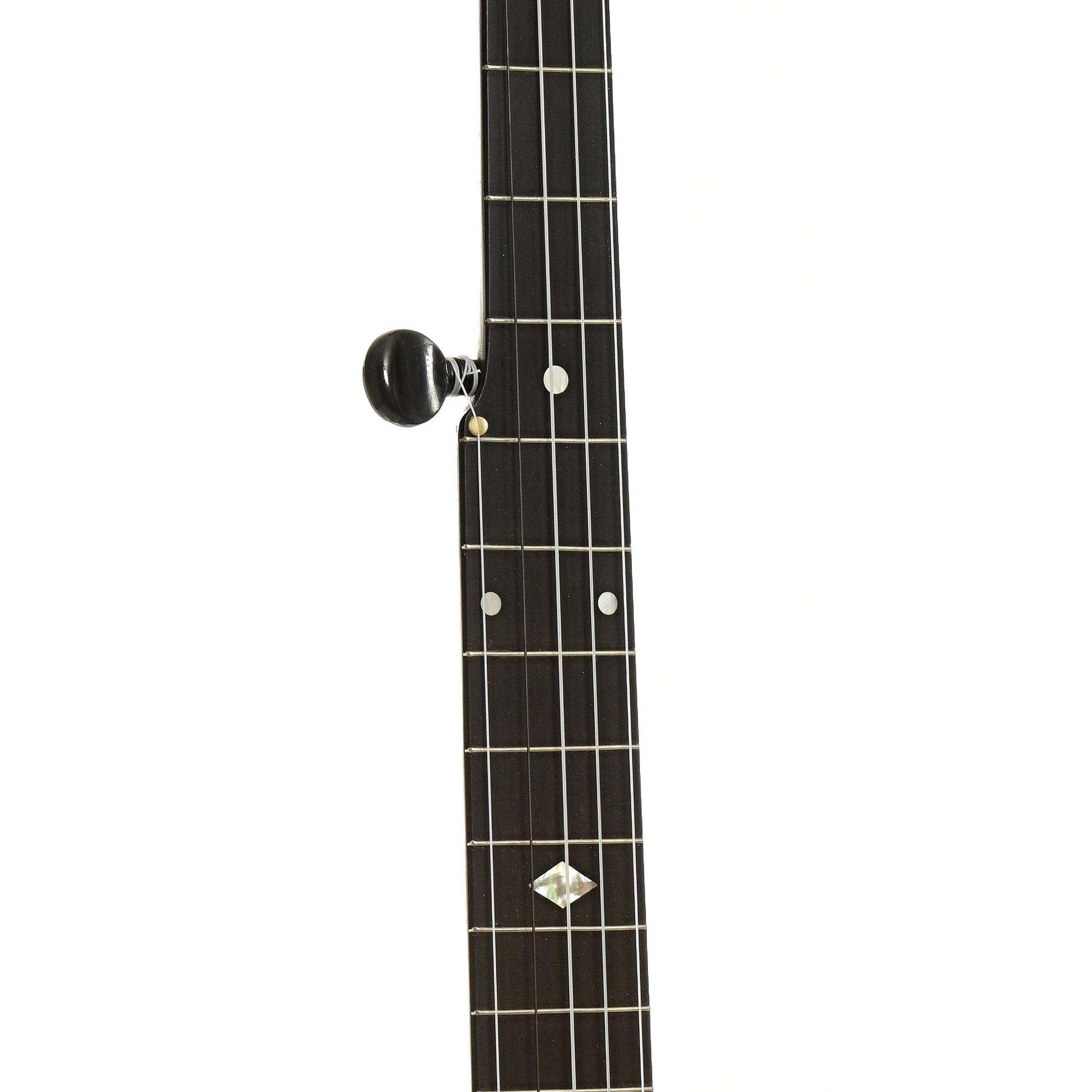 Fretboard of S.S. Stewart Lady Stewart Openback Banjo