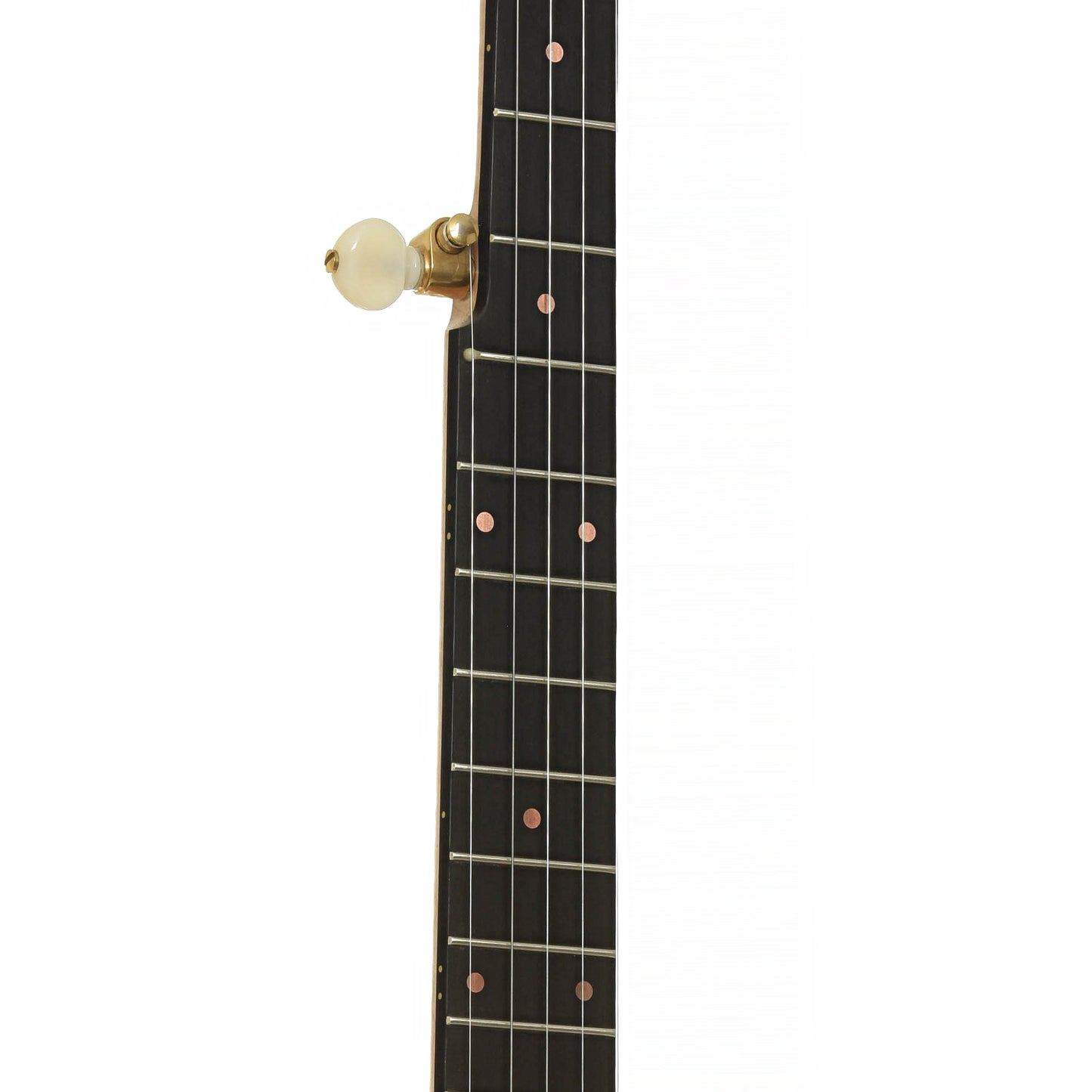 Fretboard of Pisgah Laydie Openback Banjo
