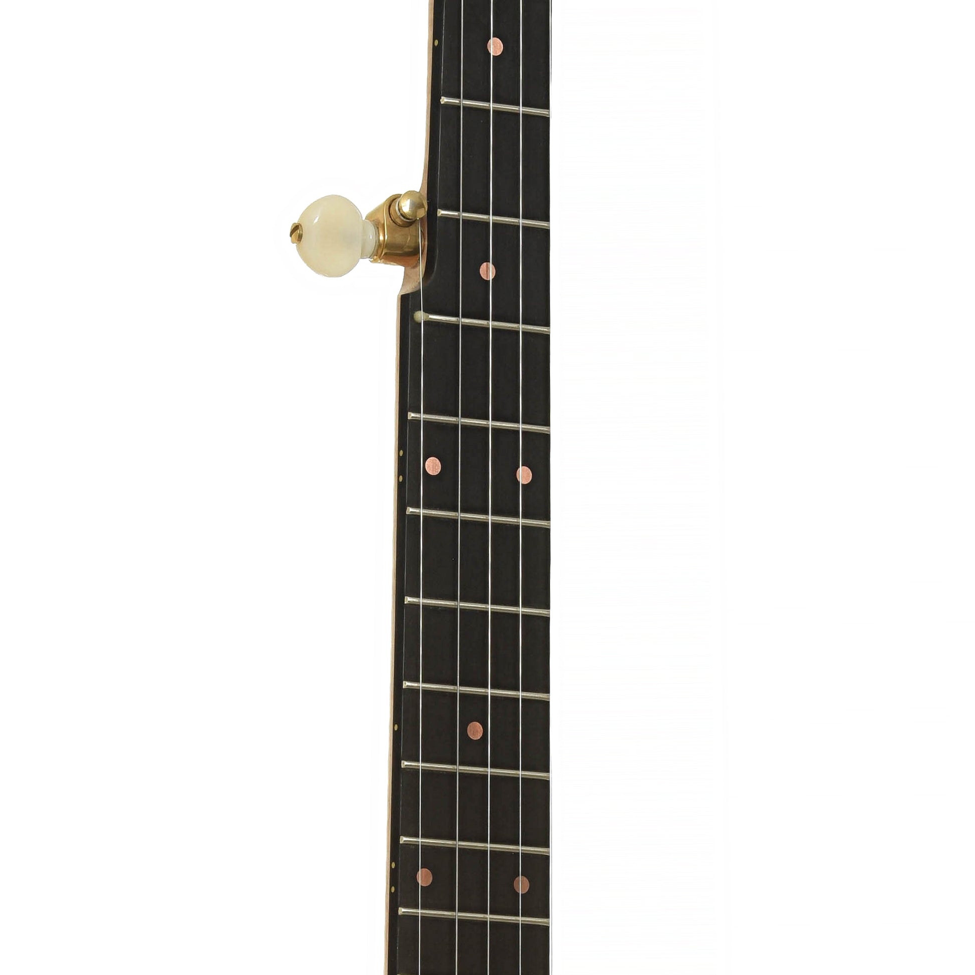 Fretboard of Pisgah Laydie Openback Banjo