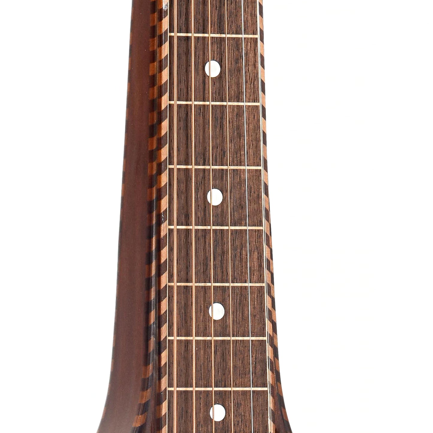 Fretboard of Gold Tone SM Weissenborn Plus & Case, Shopworn
