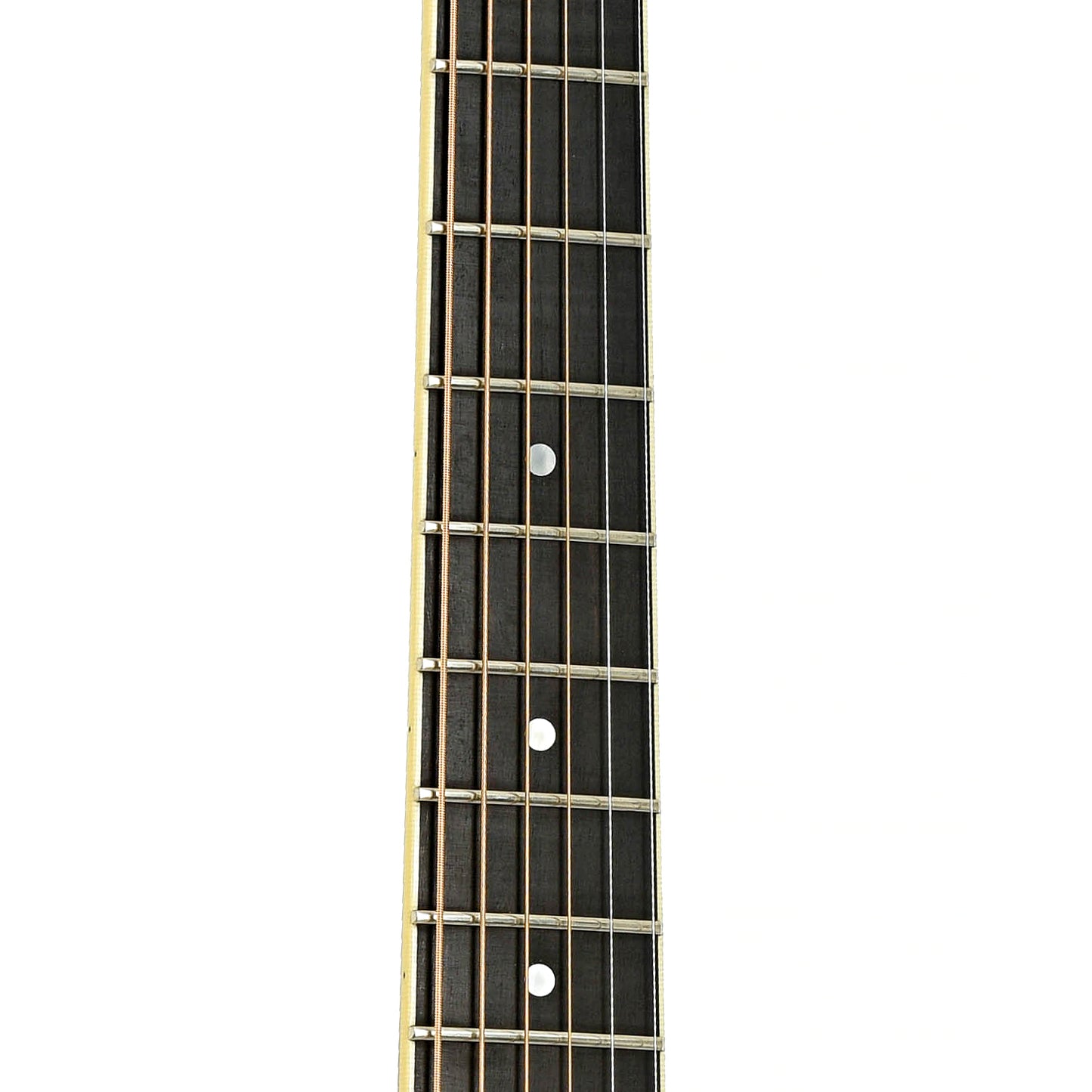 Fretboard of National El Trovador Mike Dowling Model