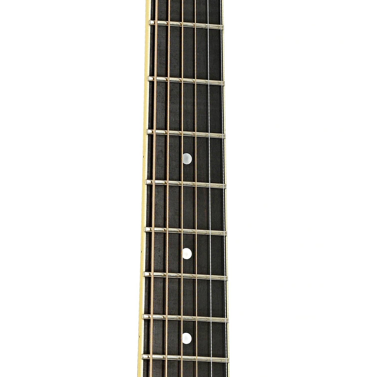 Fretboard of National El Trovador Mike Dowling Model