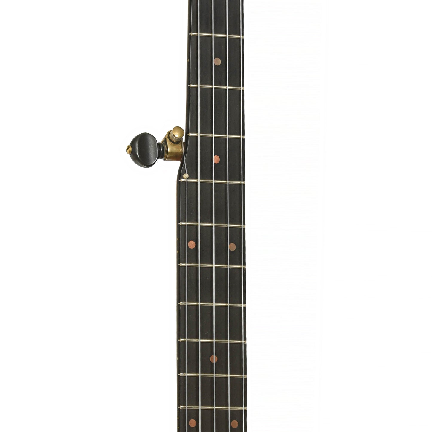 Fretboard of Pisgah Rambler Custom Openback Banjo