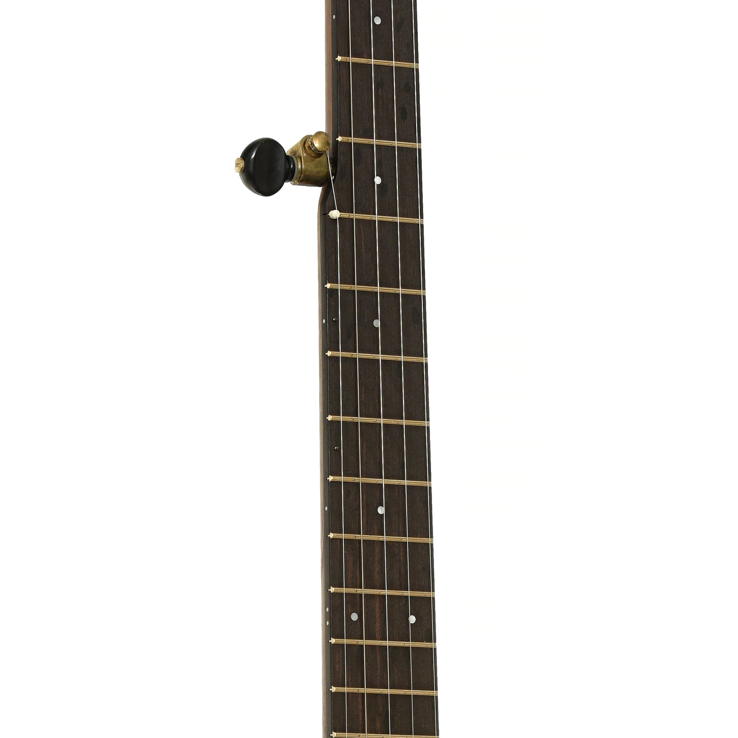 Fretrboard of Ode Magician 12" Walnut Openback Banjo 