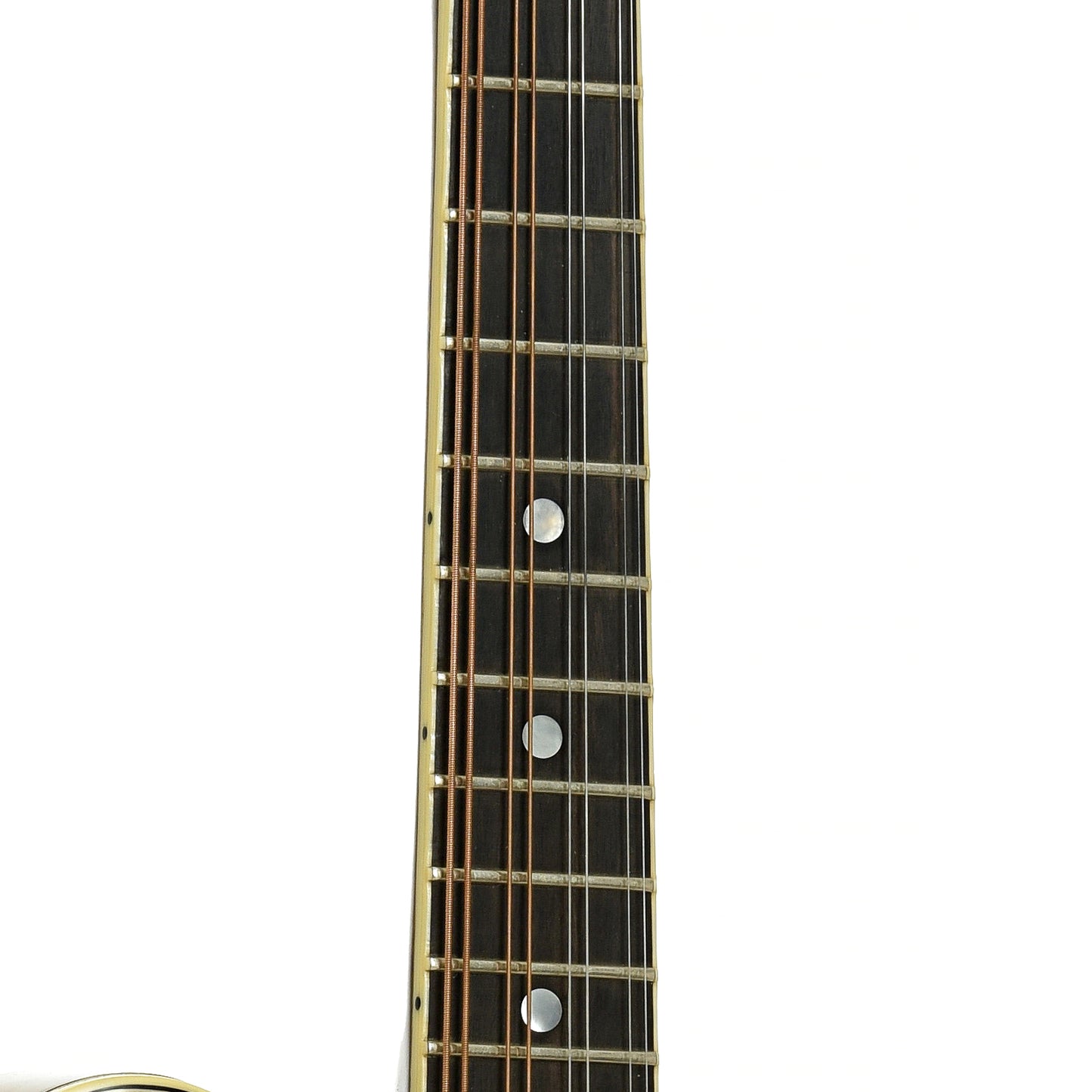 Fretboard of Stiver Model F Mandolin
