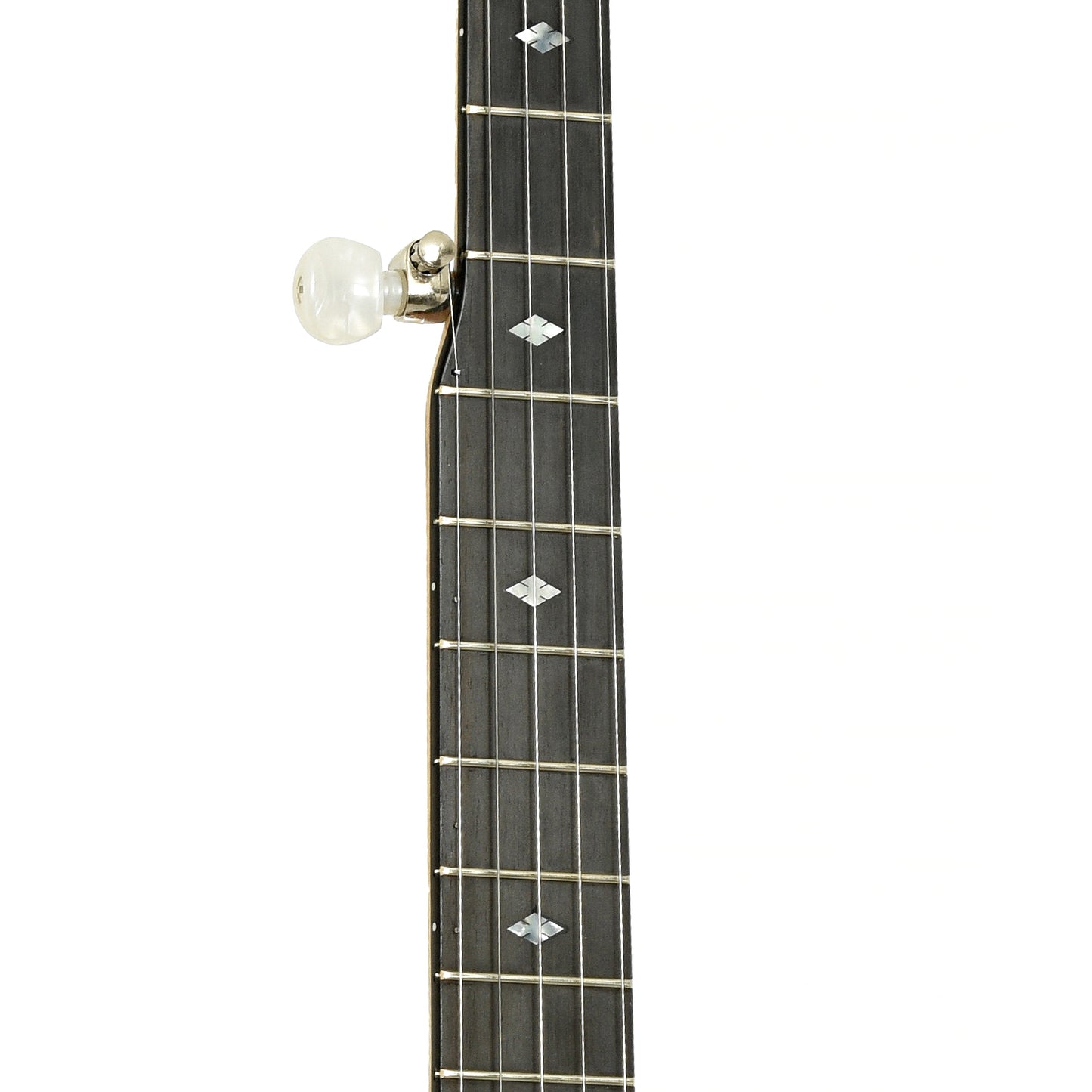 Fretboard of Deering Crossfire Electric Banjo