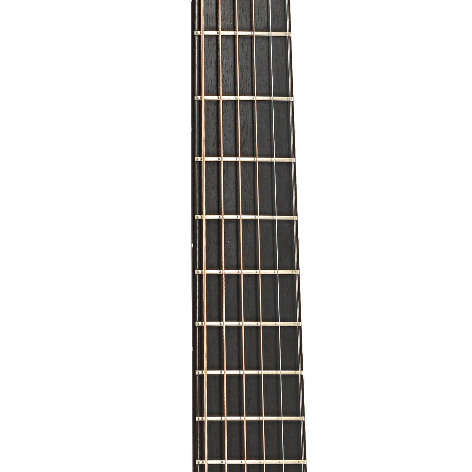 Fretboard of R. Taylor Style 1 Acoustic