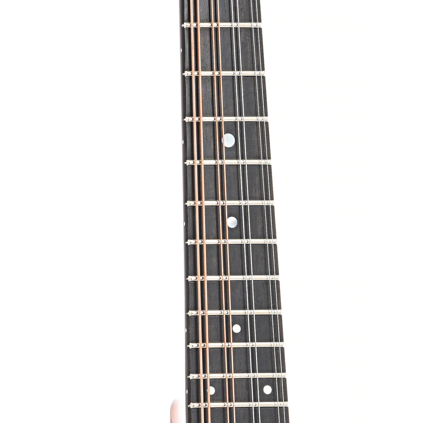 fretboard of Collings MT A-Model Mandolin with Glossy Top, Honey Amber Finish, Tortoise Binding