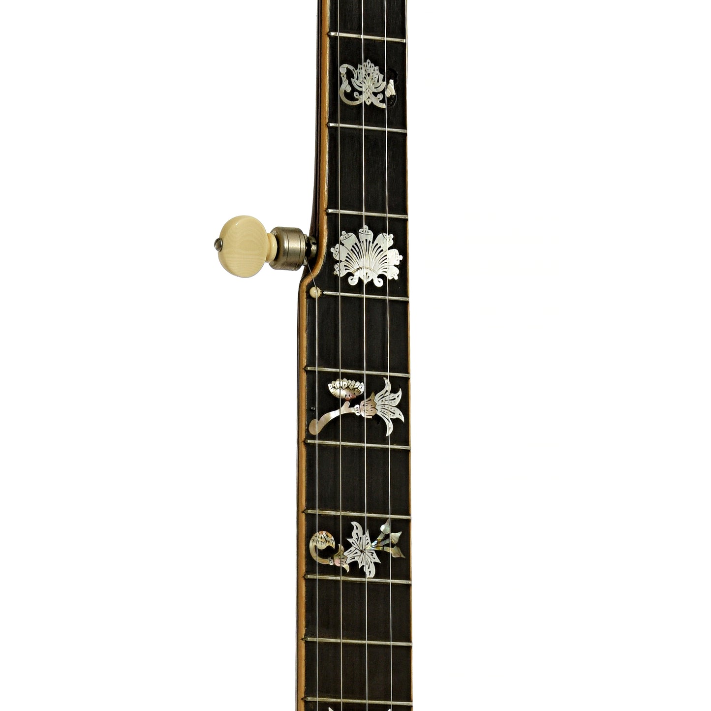 Fretboard of Fairbanks Special Electric No.5 Openback Banjo