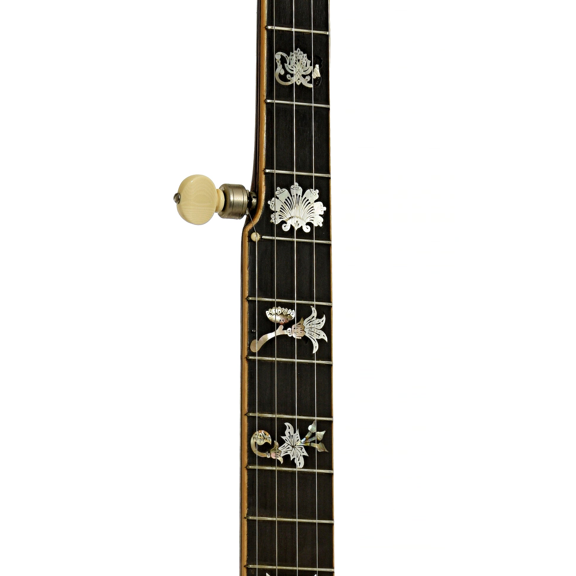 Fretboard of Fairbanks Special Electric No.5 Openback Banjo
