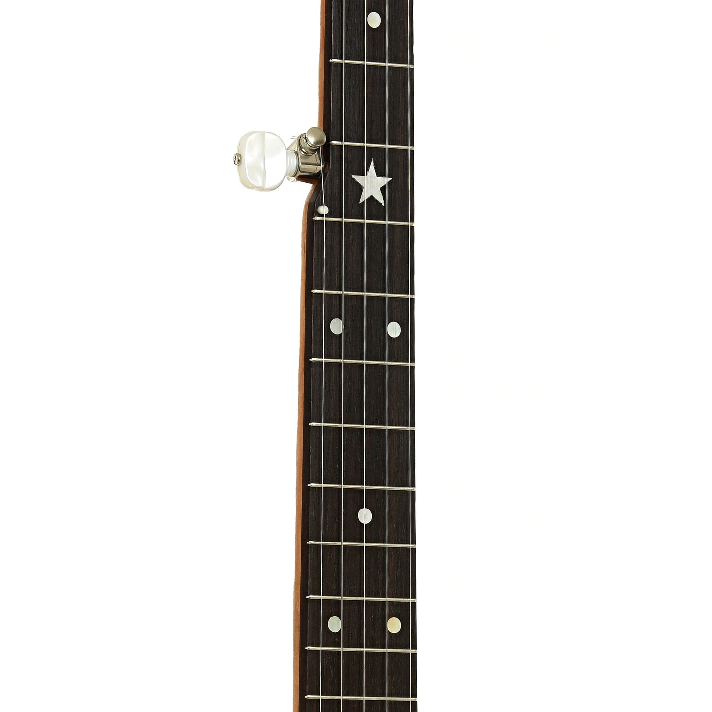 Fretboard of Mike Ramsey Chanterelle Cherry Special 12" Open Back Banjo 