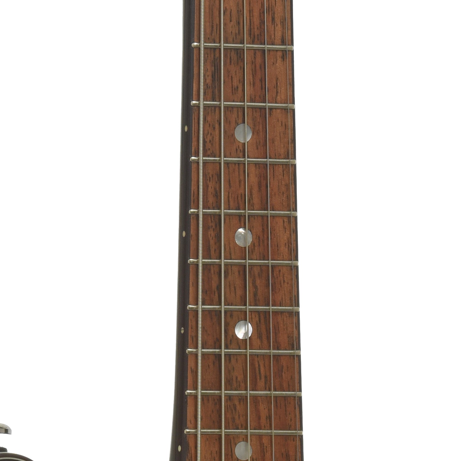 Fretboard of Fender FM-60E 5-String Electric Mandolin 