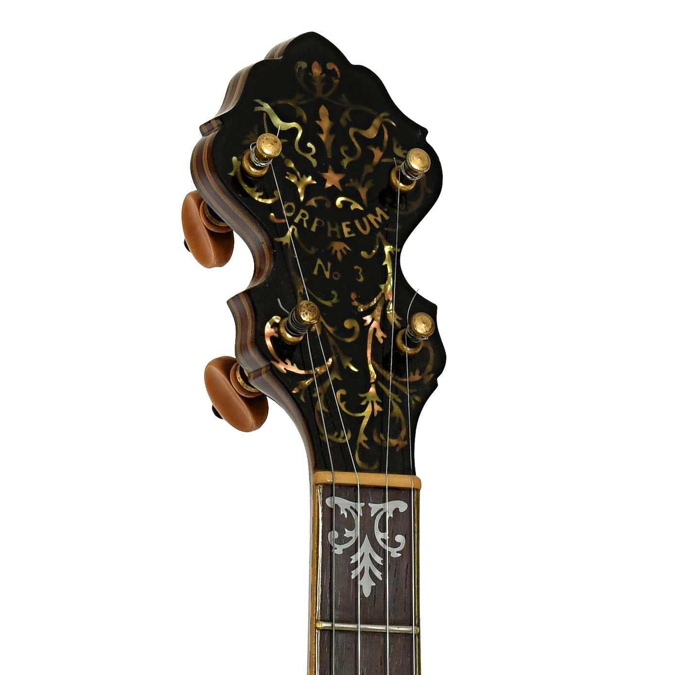 Headstock of Orpheum No.3  5-String Conversion Banjo