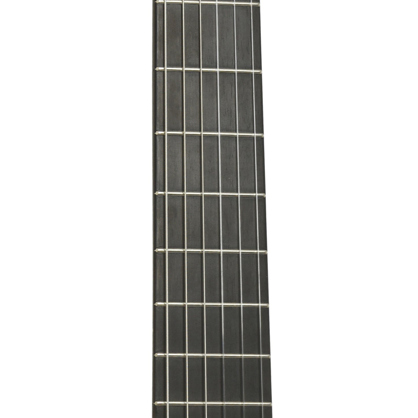 Fretboard of Hippner Hauser Model Classical Guitar