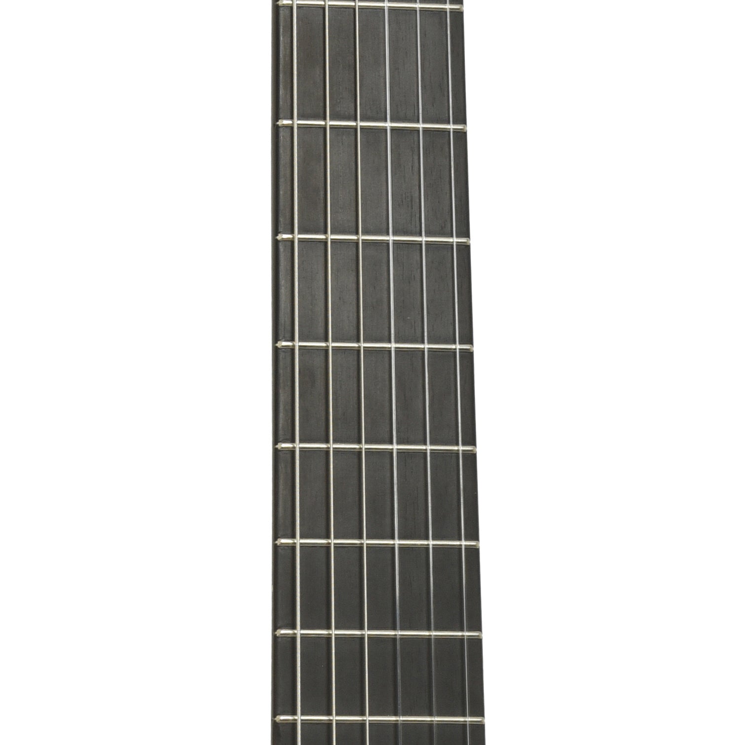 Fretboard of Hippner Hauser Model Classical Guitar