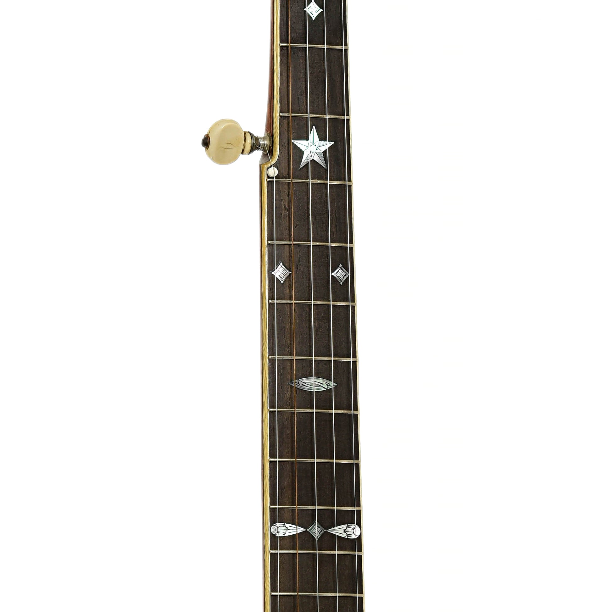 Fretboard of Fairbanks / Unger Conversion Open Back banjo