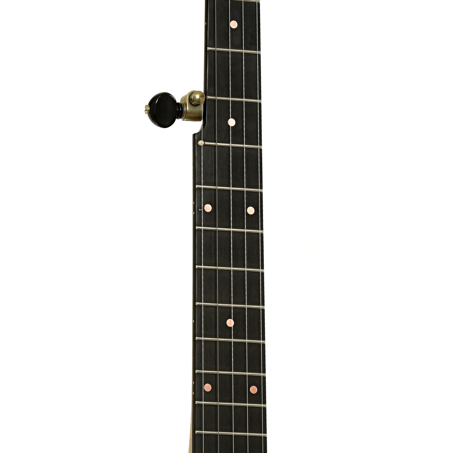 Fretboard of Pisgah Rambler Dobson Custom